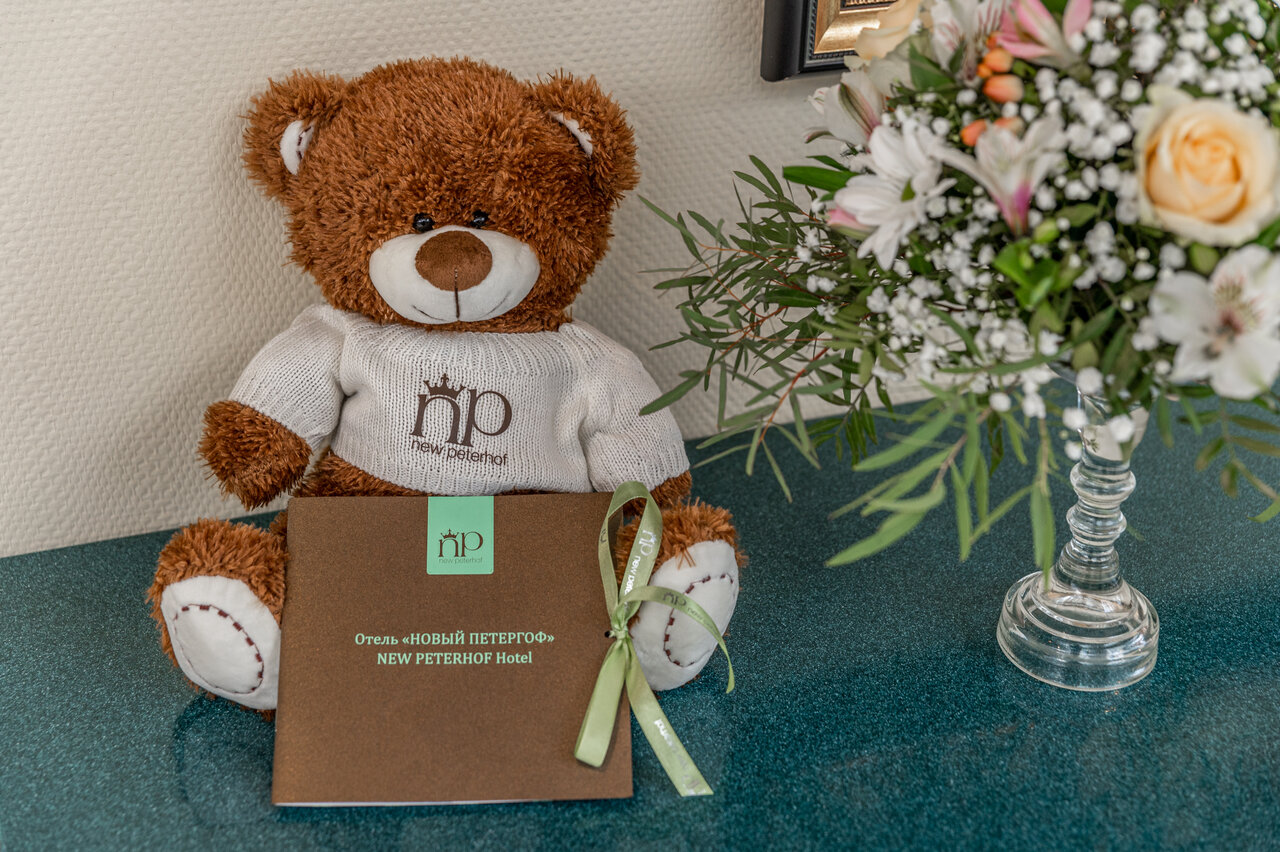 Гостиница Новый Петергоф Петергоф-23