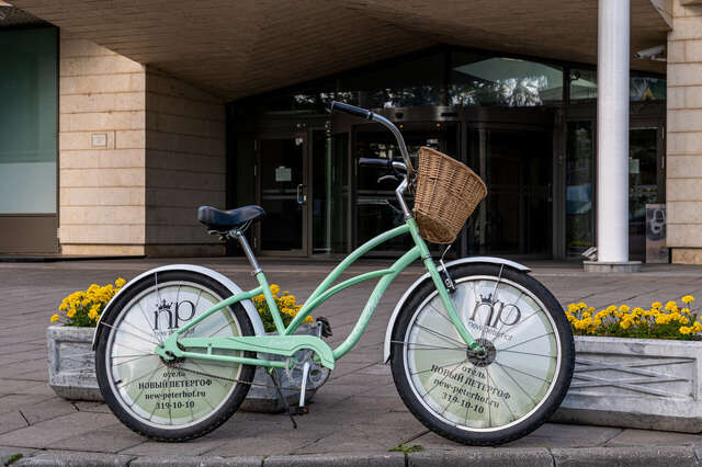 Гостиница Новый Петергоф Петергоф-54